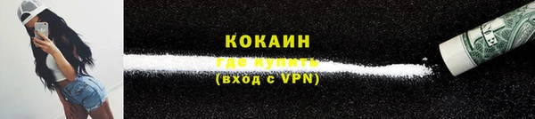 винт Абаза