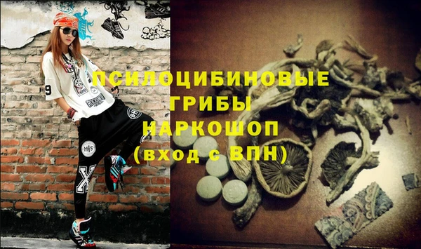 стаф Абдулино