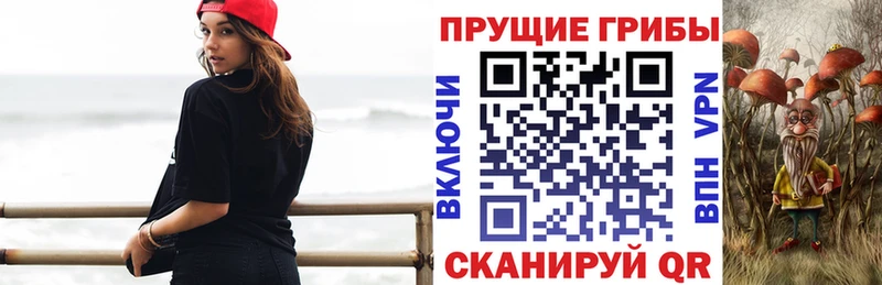 Псилоцибиновые грибы мухоморы ОМГ ОМГ сайт Богородицк