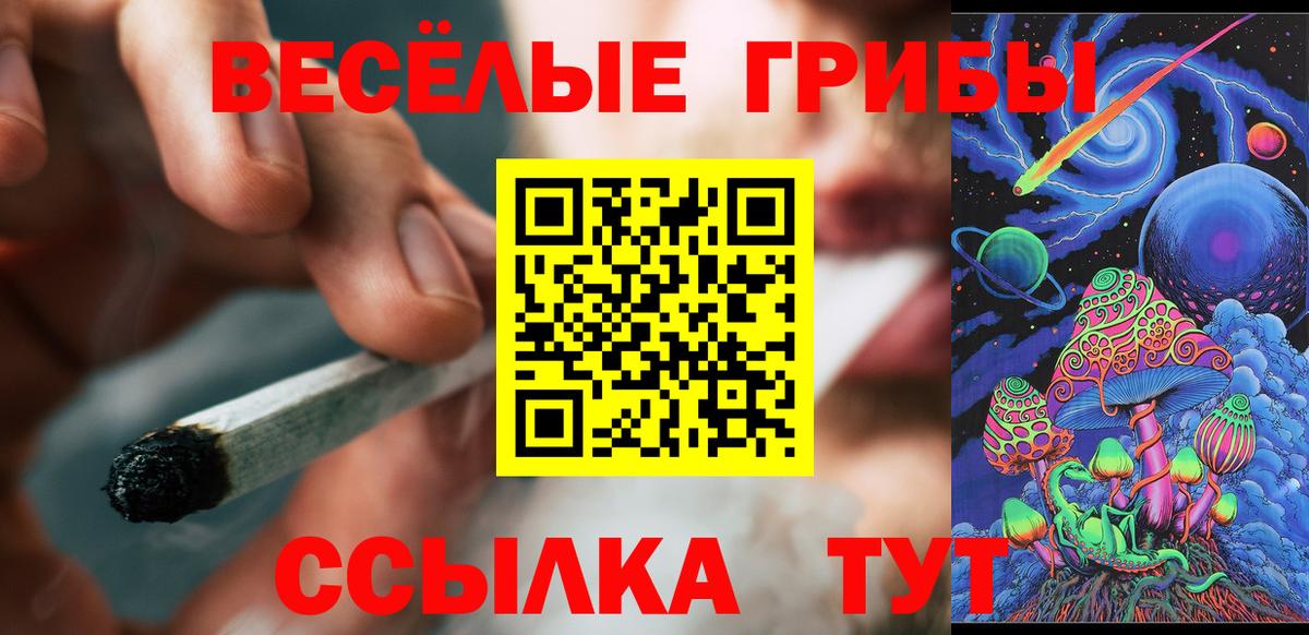 Галлюциногенные грибы GOLDEN TEACHER  Вход с VPN  Богородицк 