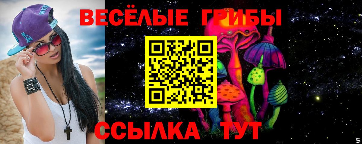 Галлюциногенные грибы мухоморы Богородицк